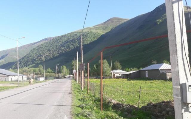 Guesthouse Natia