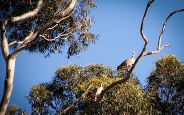 Kweekkraal Guest Farm