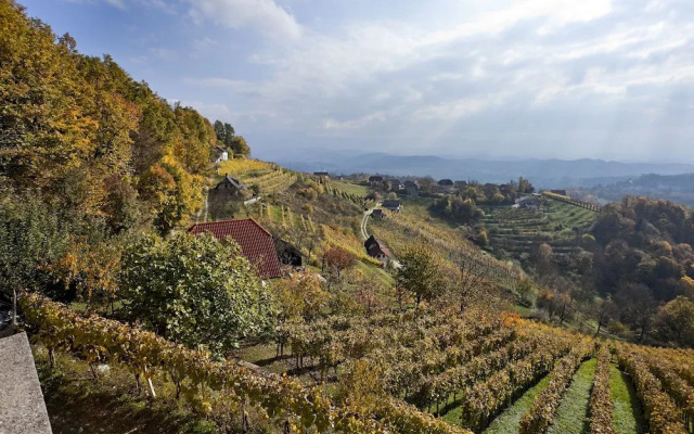 Vineyard cottage Ucman