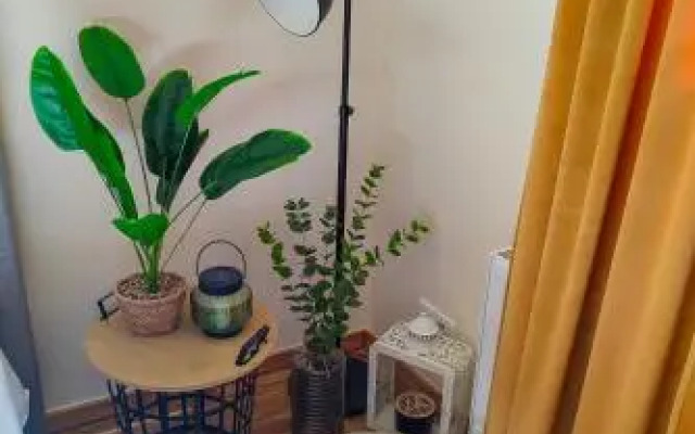 Apartamenty Piekary 11