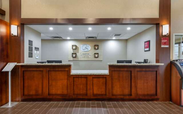 Comfort Suites Downtown