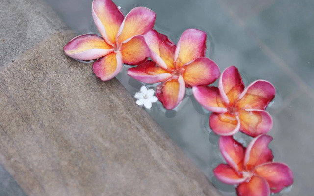 The Frangipani Living Arts Hotel & Spa