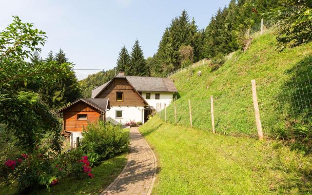 Apartment Near the Koralpe ski Area