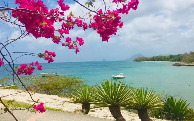 Magnifique Villa Bauhinia, Piscine vue mer
