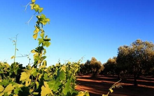 Herdade da Calada