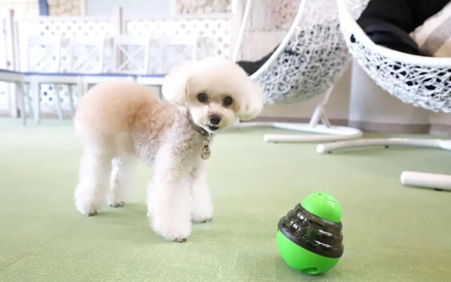 Wan's Resort Jogasaki Coast