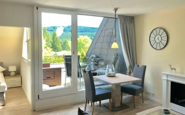 "nice Mountain View"