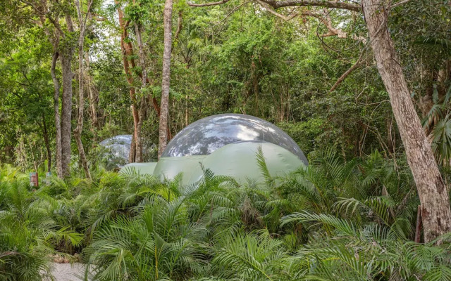 Oom Bubble Boutique Riviera Cancun - Adults Only