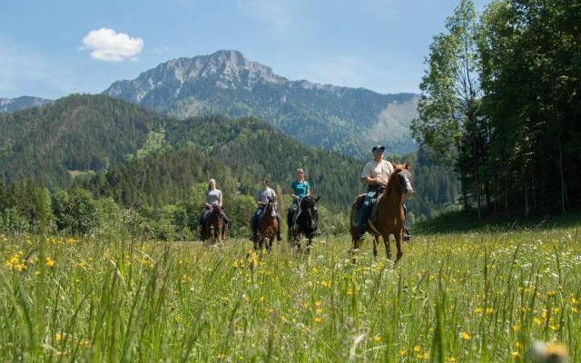 Reiterbauernhof Maho