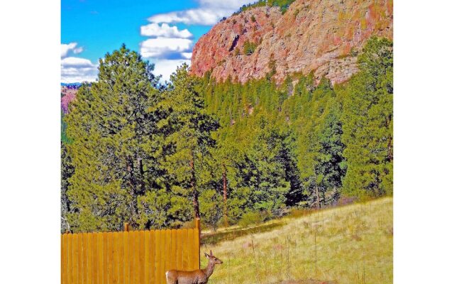 Secluded W/ Game Room & Huge Wraparound Deck 3 Bedroom Cabin