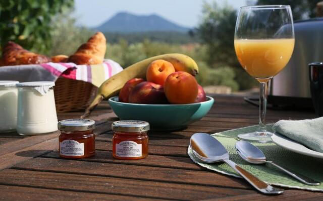 Pantaiahomes My Little Garden