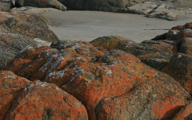 Snug Beach Cabin And Caravan Park