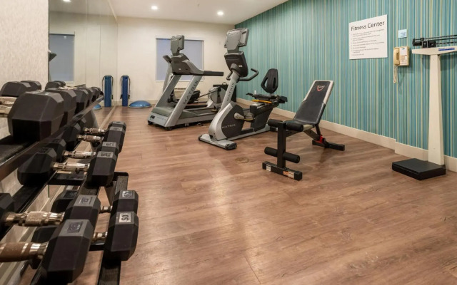 Holiday Inn Express Hotel & Suites Salisbury - Delmar by IHG