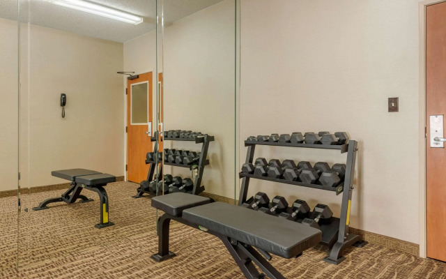 Comfort Inn DFW North-Irving
