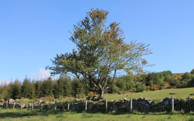 Glendalough Glamping