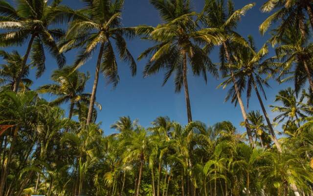 Playa Junquillal Eco Resort