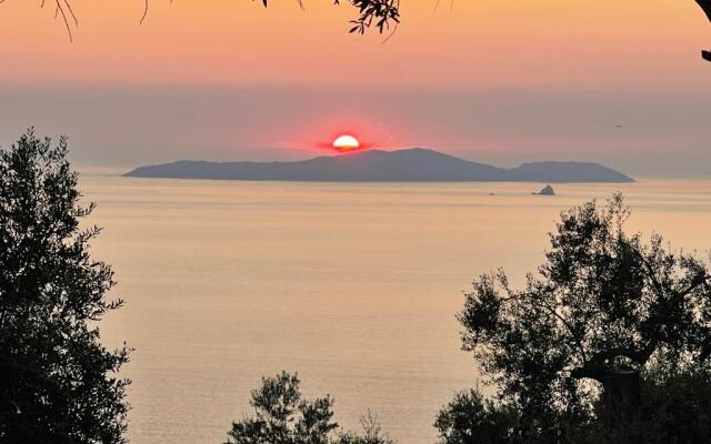 ARILLAS HILLSIDE VILLA 3 - Provence