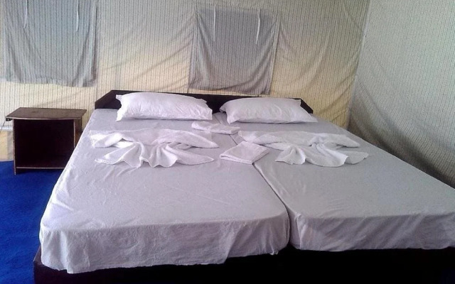 Cold Desert Camp
