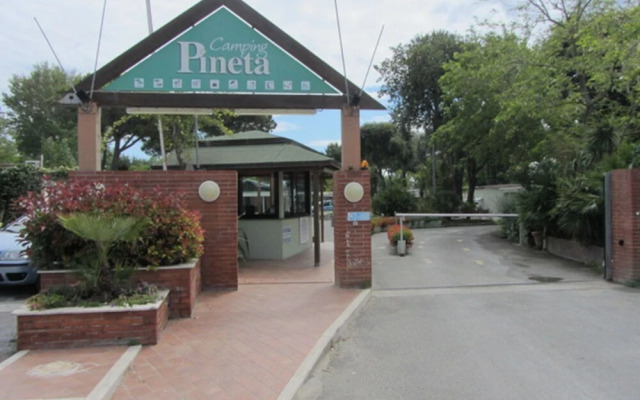 Camping Pineta