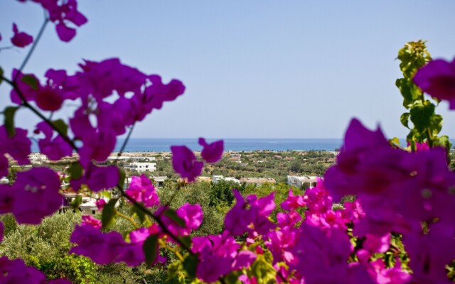 Hotel Iris