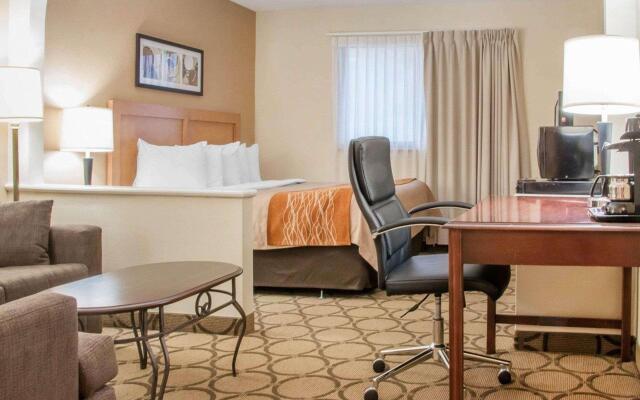 Comfort Inn South