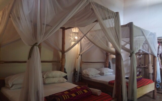 Honey Badger Lodge Moshi