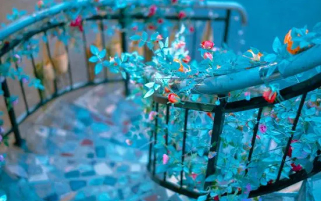 Yunting Hotel (Shanghai Qingpu Zhujiajiao Ancient Town)