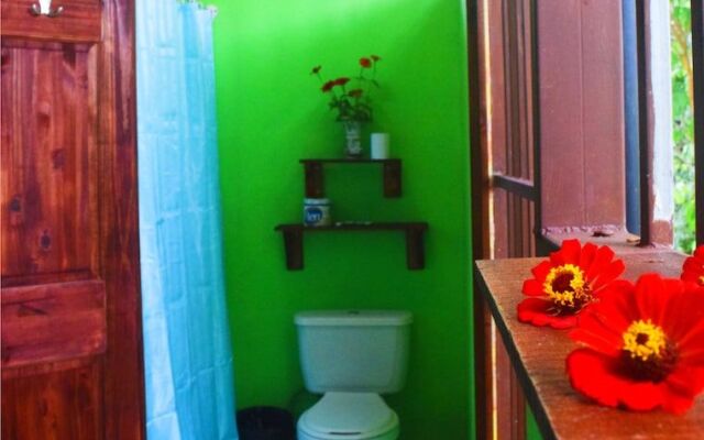 Whitefaced Monkey House