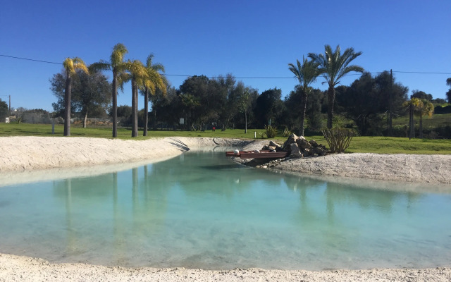 The Navigator - Palm Oasis Alvor