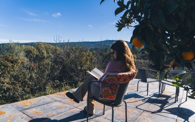 Local 9 - Casa do chapim azul