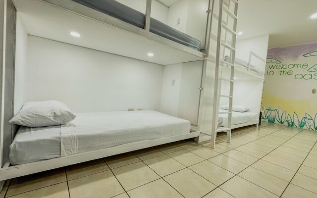 SJO Oasis Hostel