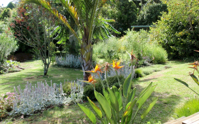 Wharepuke Subtropical Accommodation