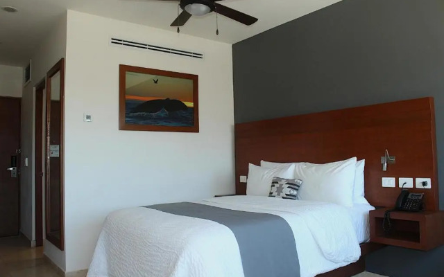 Gamma Los Cabos