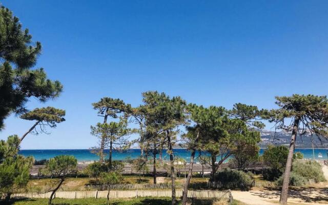 Appartement Calvi, 2 pièces, 4 personnes - FR-1-63-261