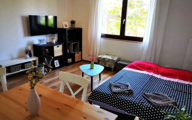Apartments Maric