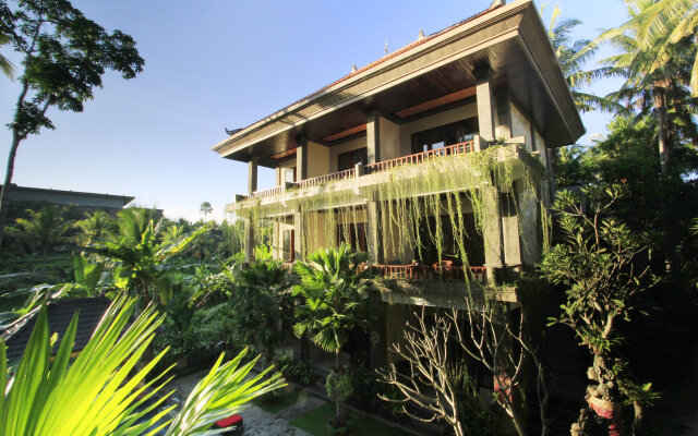 Alam Terrace Cottages