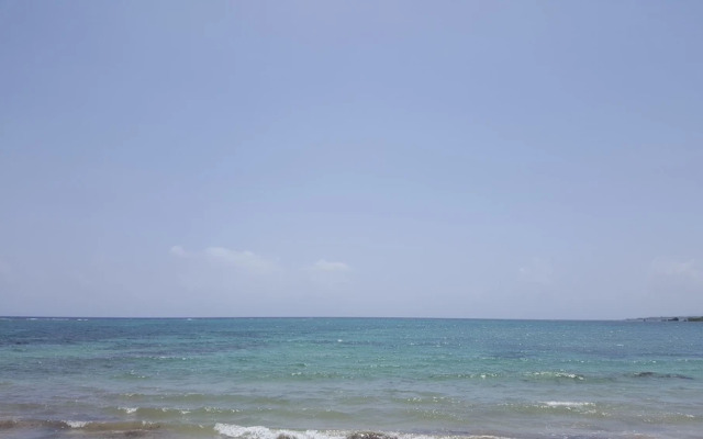 Ocho Rios Villa at Coolshade IX