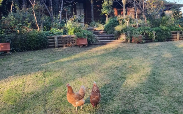 Angaston by the Winter Creek