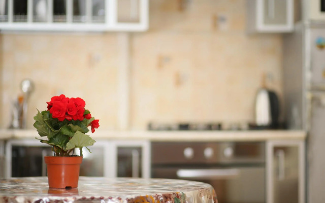 Апартаменты на проспекте Мира 36