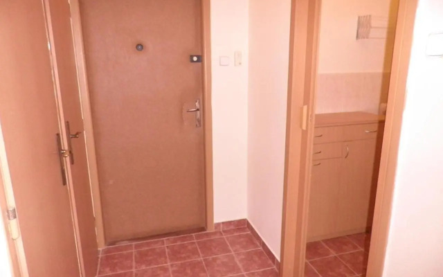 Flat 18 Minutes From Vaclavske Namesti