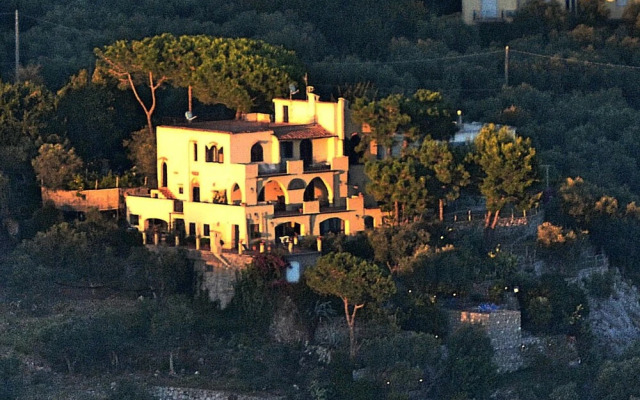 Neranya