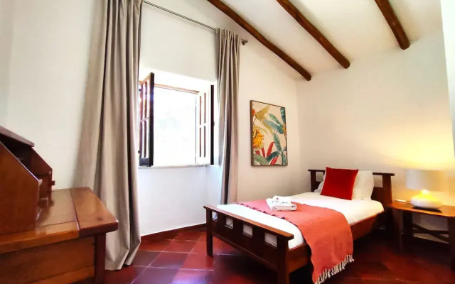 Lagos High Point Nature 2 by Homing