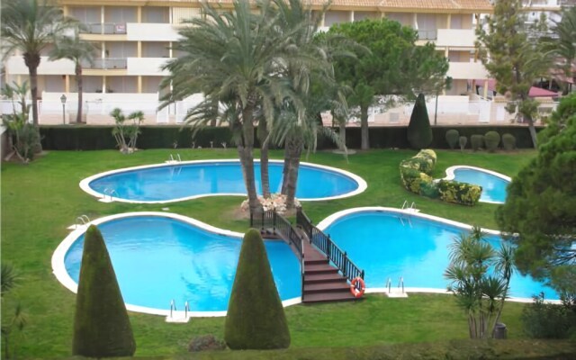 Torreblanca - Palmeral II