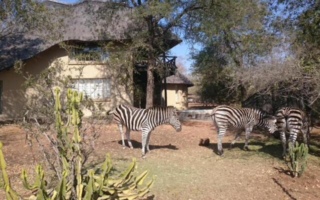 Kruger River Villas - Mtombo