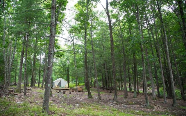 Tentrr - Camp Anulyfe