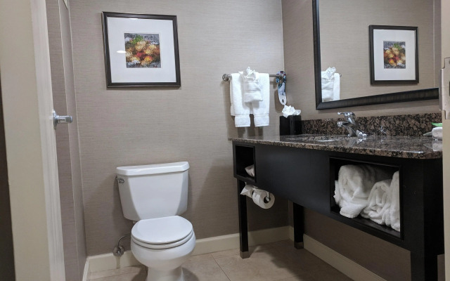 Holiday Inn Charlotte University Executive Park by IHG