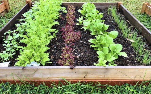 Volcano Eco Retreat by Heart Core Hotels - Adults Only