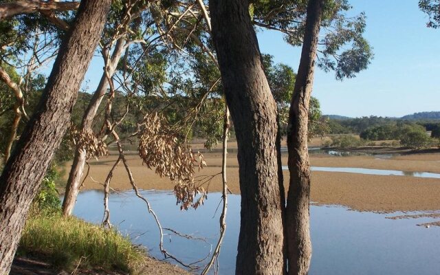 Breakfast with the Kangaroos