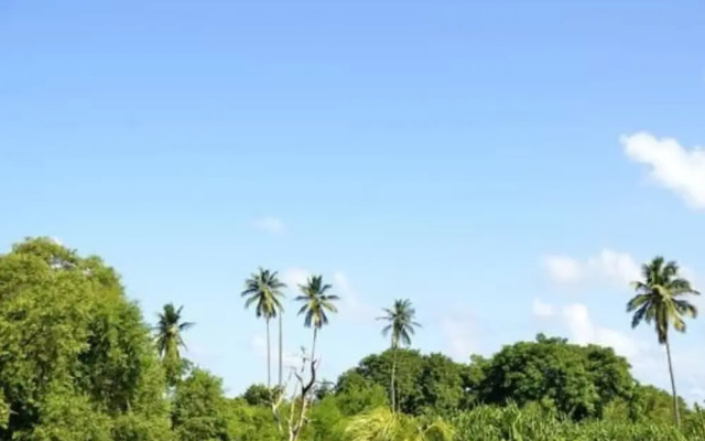 Casa Coral
