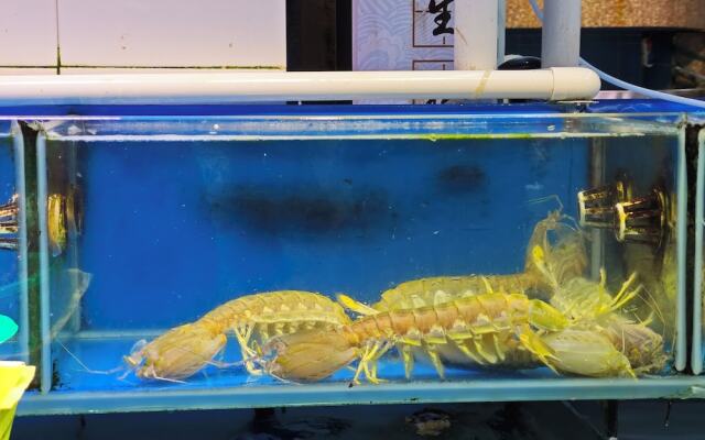 Grade Hotel Shenzhen Shekou Sea World